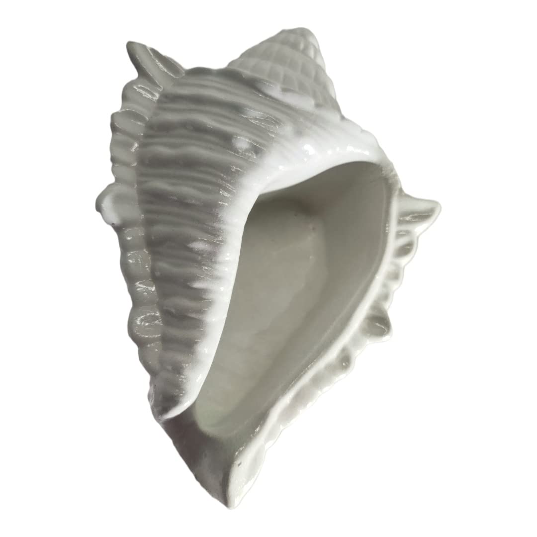 Shell Concrete Decor Piece