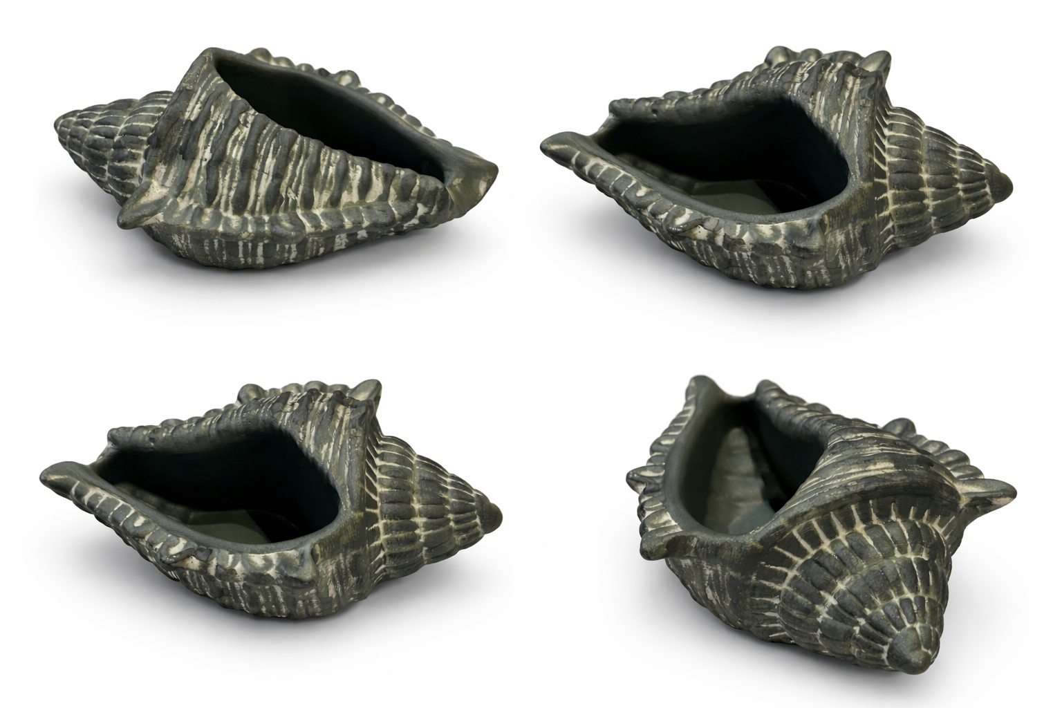Shell Concrete Decor Piece