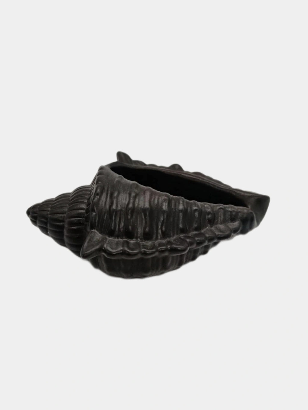 Shell Concrete Decor Piece