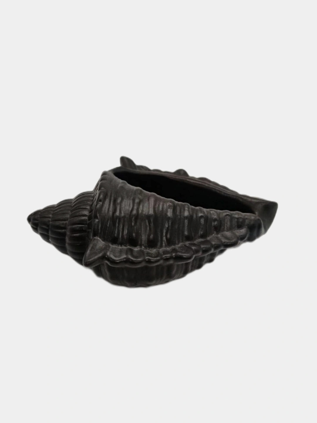 Shell Concrete Decor Piece