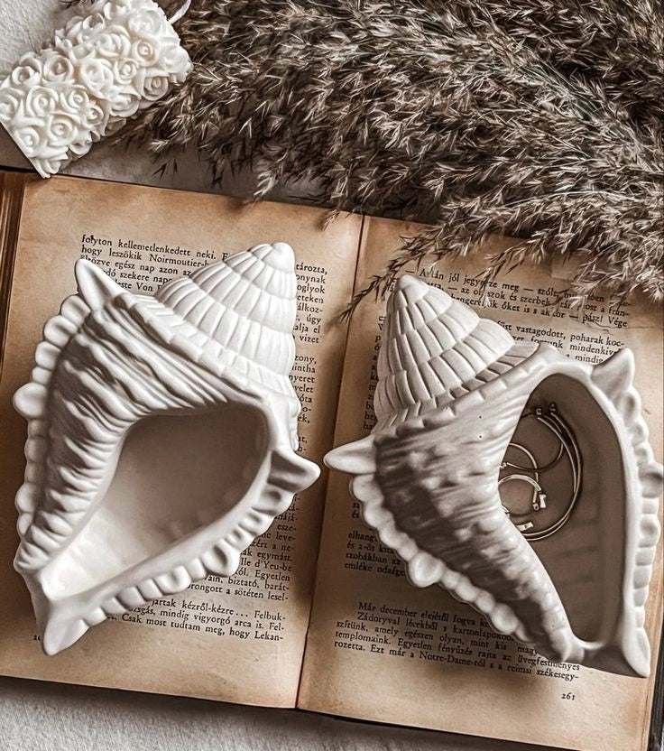 Shell Concrete Decor Piece